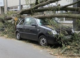 Pusztít a természet ‒ de mit bír az autó?